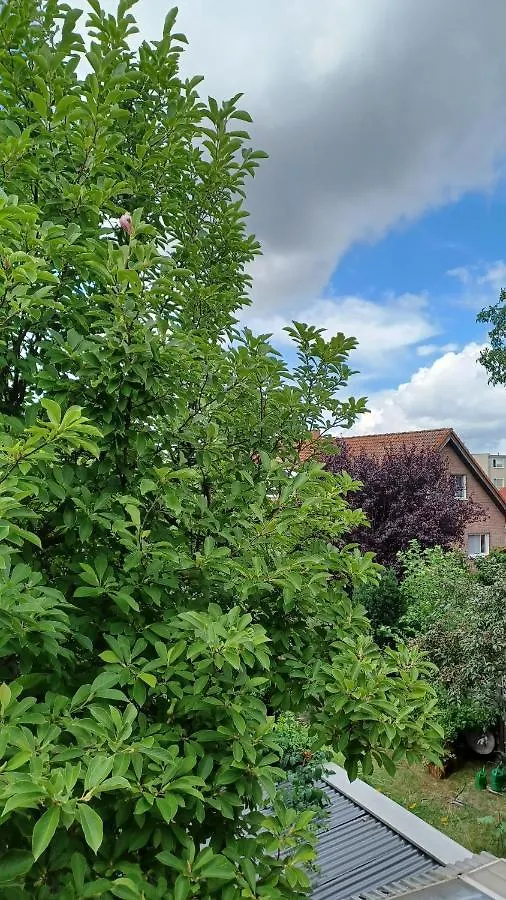 Homestay Zimmer Mit Optimaler Verkehrsanbindung Und Vielen Extras In Berlin-Rudow